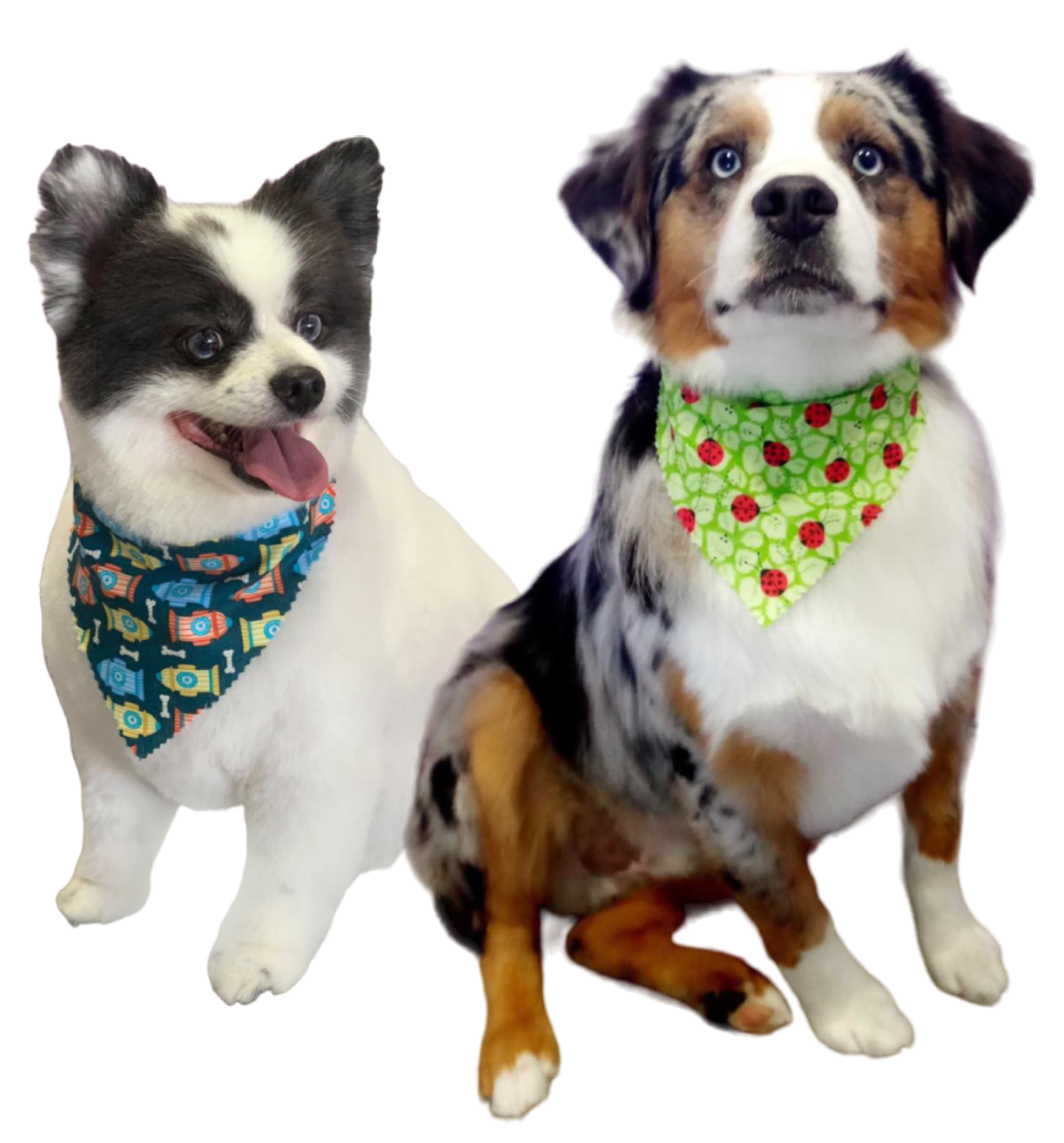 Doggy N Styles